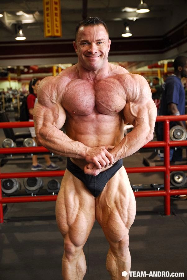 Ronny Rockel
