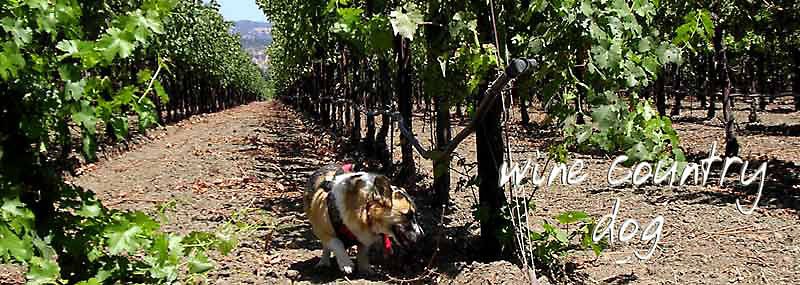 wine country dog ezine ™