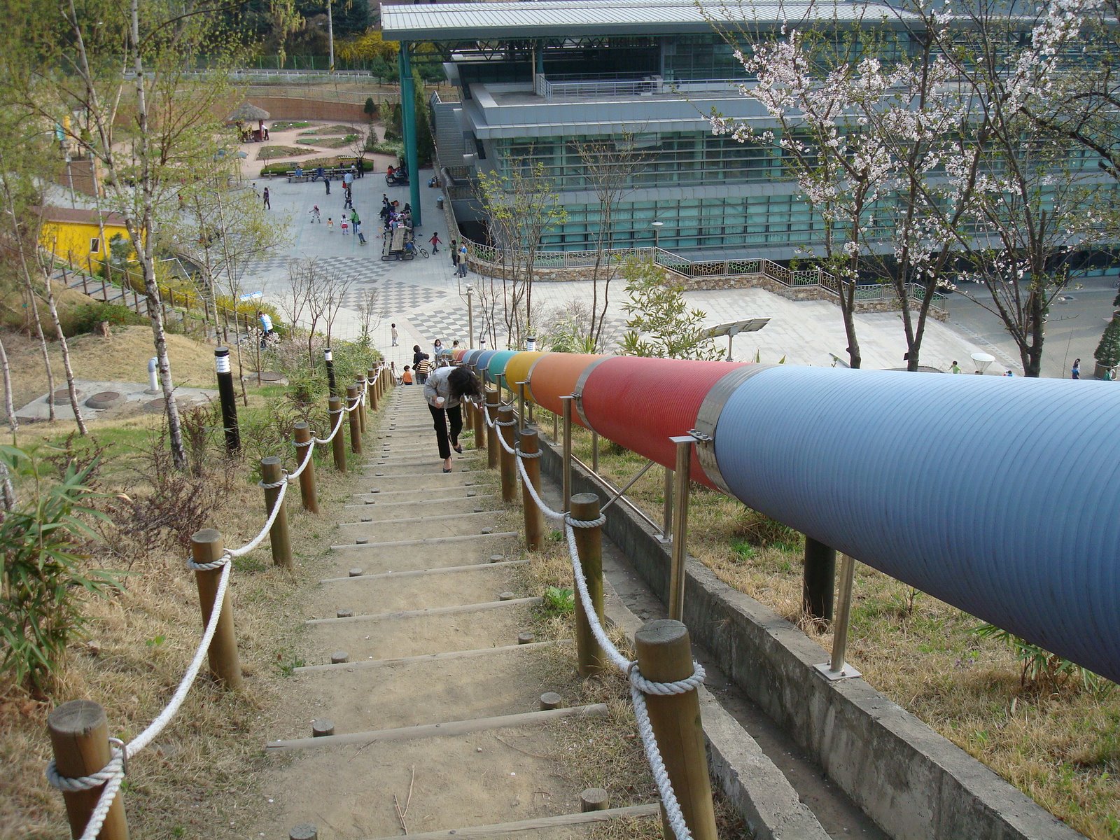 [DSC03402.JPG]