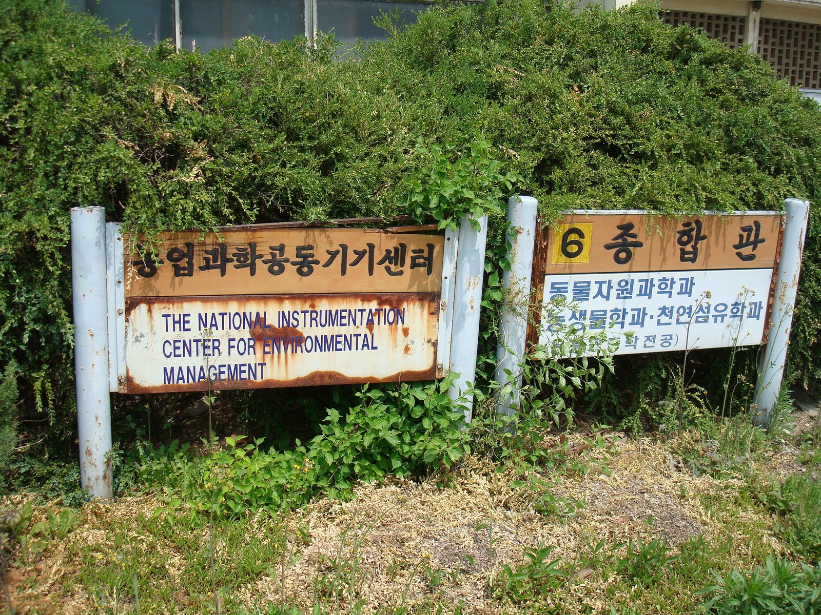 [DSC03500.JPG]
