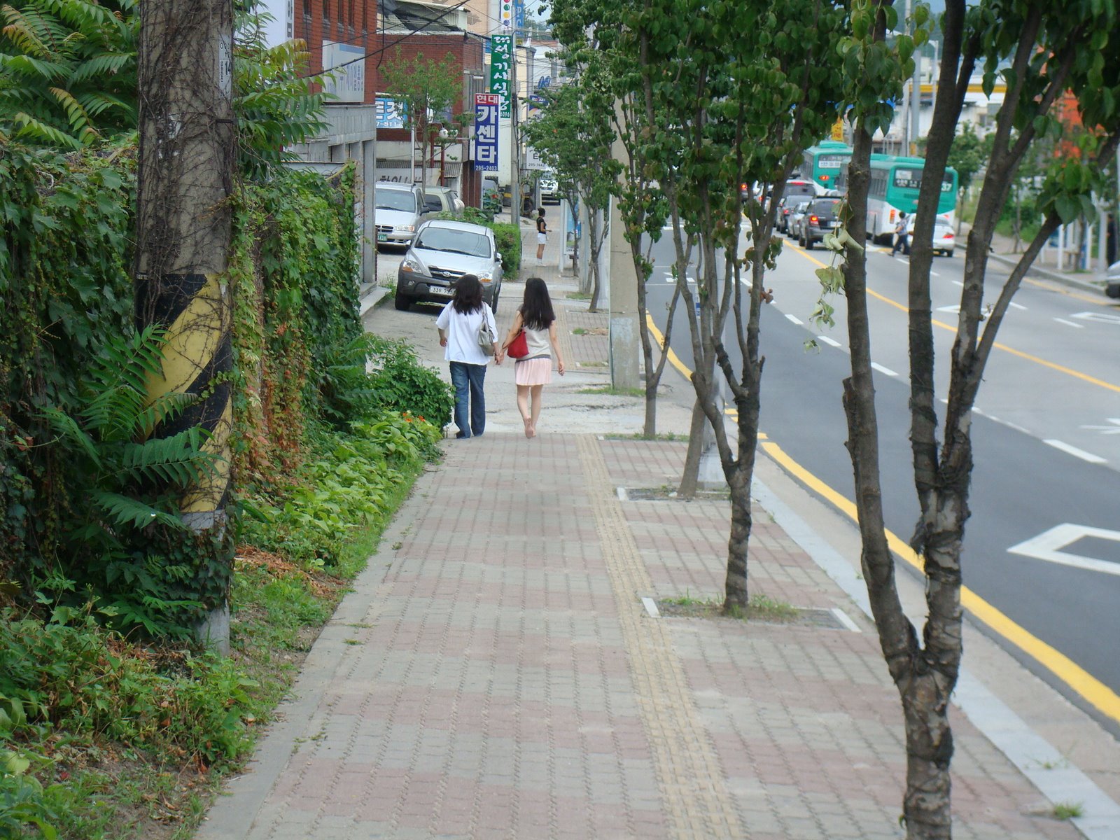 [DSC03803.JPG]