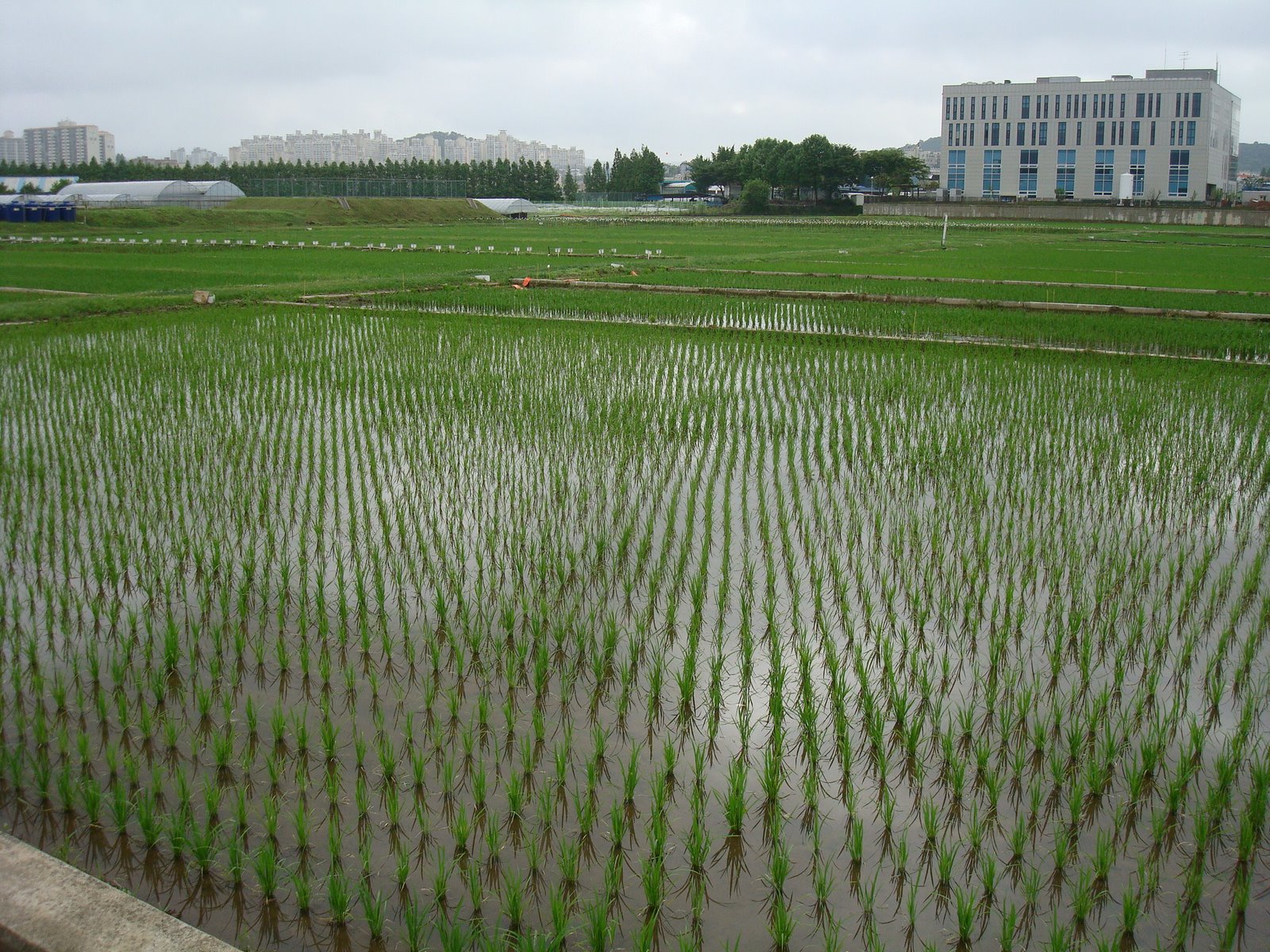 [DSC03784.JPG]