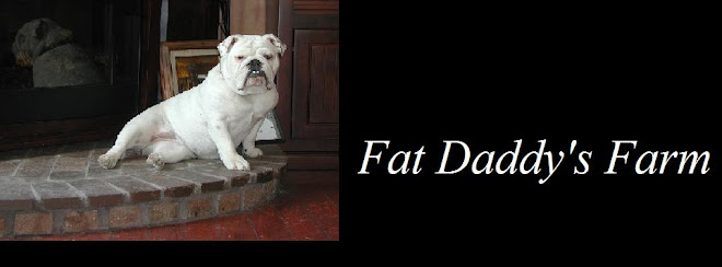 Fat Daddy's Farm News