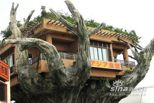 Strange Weird, Crazy And Unusual Houses Ever!