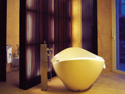 Modern Luxury Hotel Spa Bathtub Interior Design