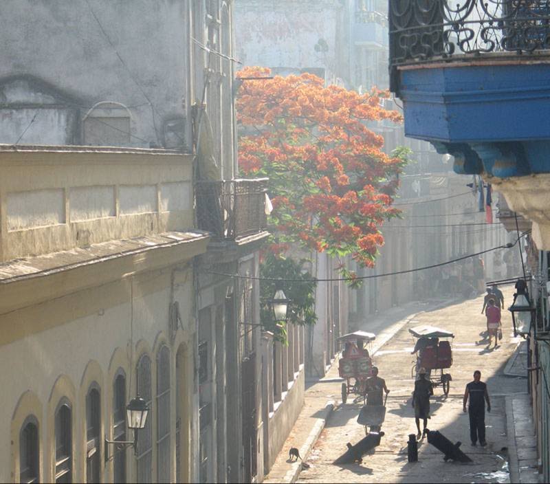 [cuba+1.bmp]