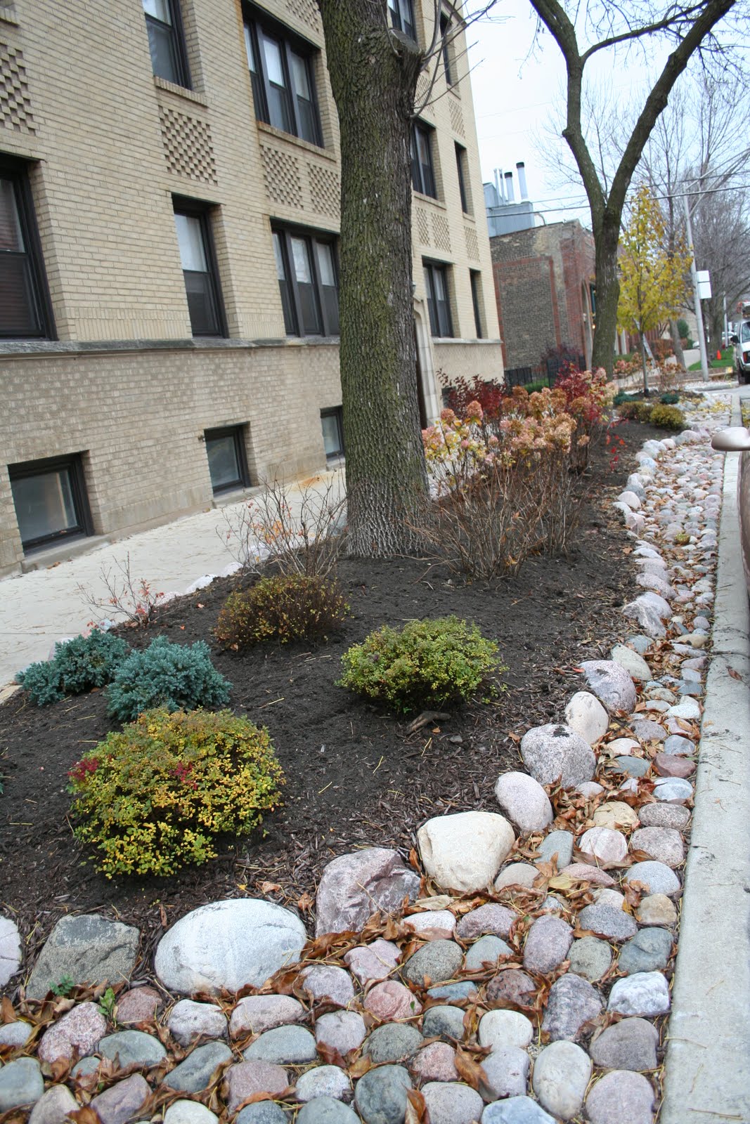 Iron Landscape Edging How To Grade Landscape