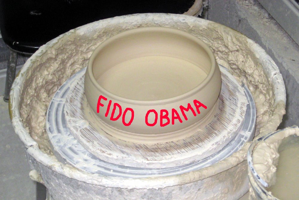 [dogbowlforweb2.jpg]