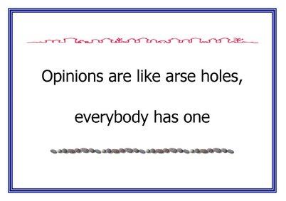 [Opinions+Are+Like+Arse+Holes.jpg]