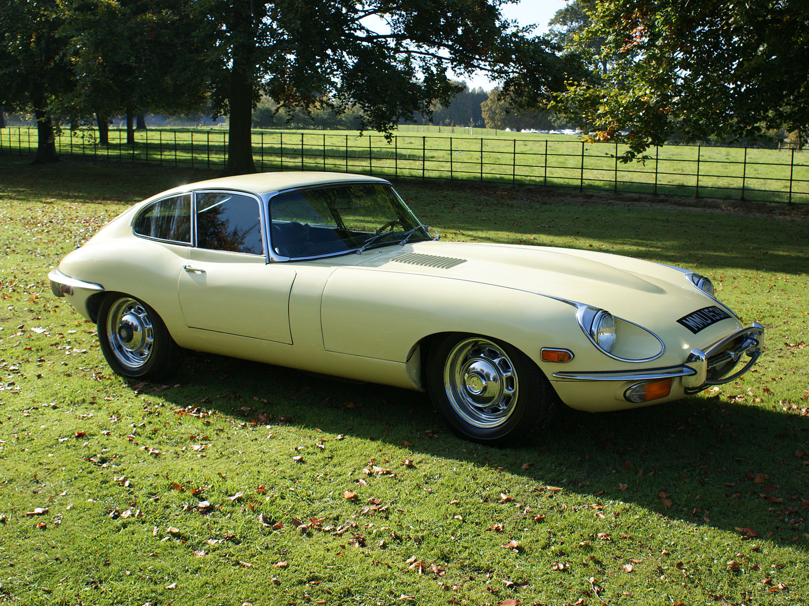 Тайп отзывы. Ягуар тайп 6. Jaguar e-Type. Jaguar e-Type Yellow. 1969 Jaguar e-Type Mark II.