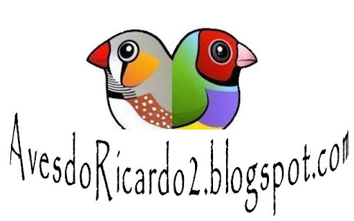 Aves do Ricardo