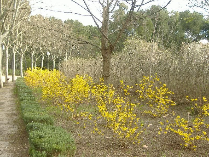 [10_ParqueQuintaMolinos.jpg]