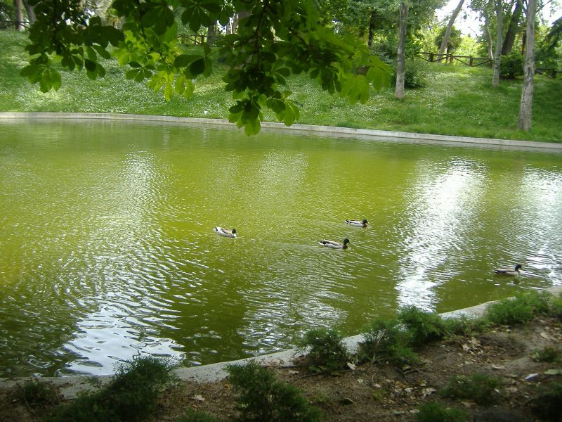 [ParqueRetiro35.jpg]