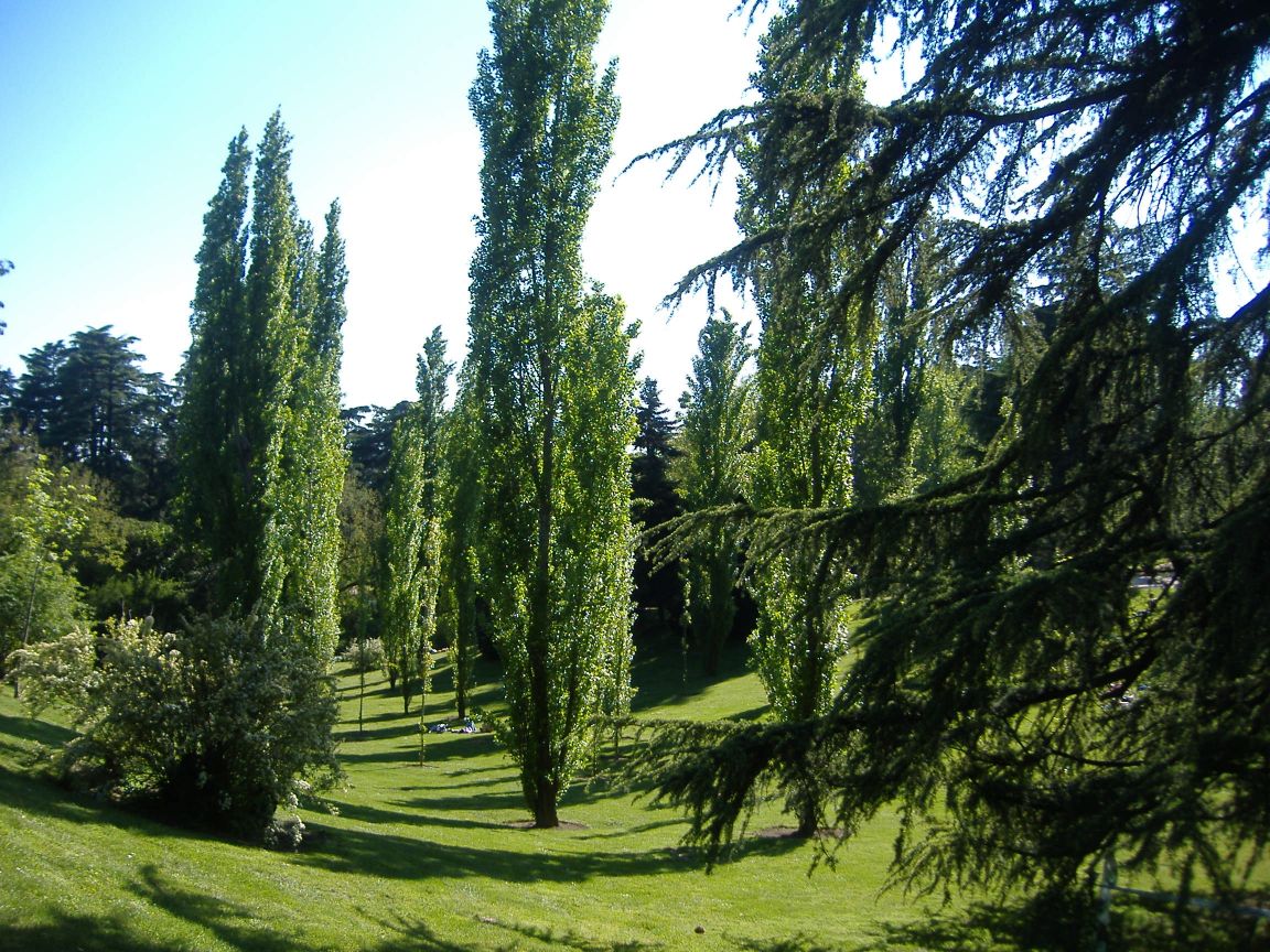 [ParquedelOeste_27.jpg]