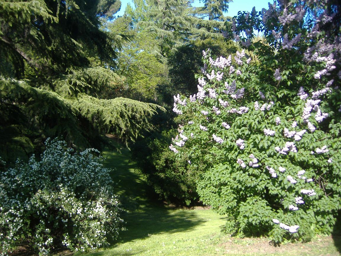 [ParquedelOeste_52.jpg]