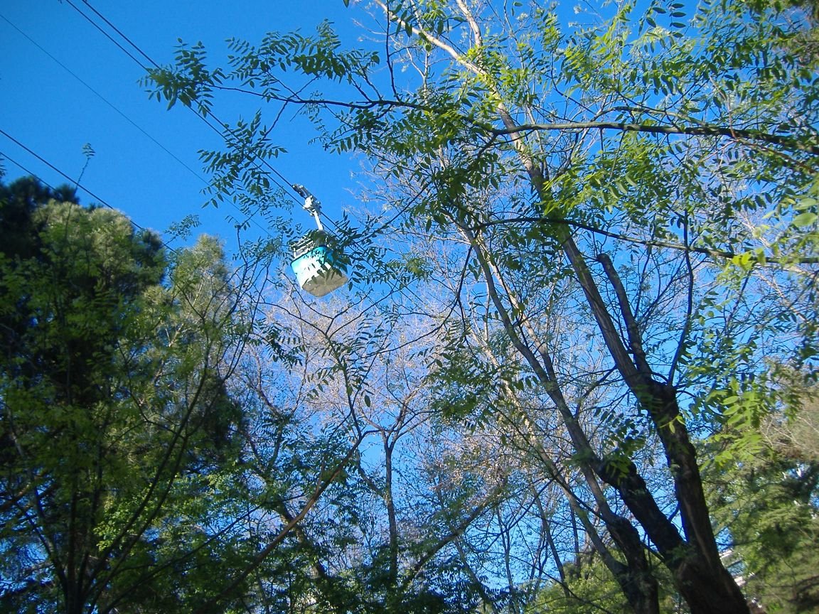 [ParquedelOeste_82.jpg]