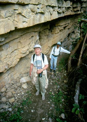[Scannen0003.jpgKuelapMacrotuerme3.jpg]