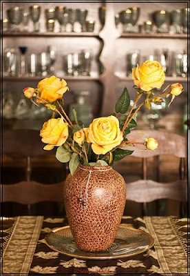 decoraçao com vasos