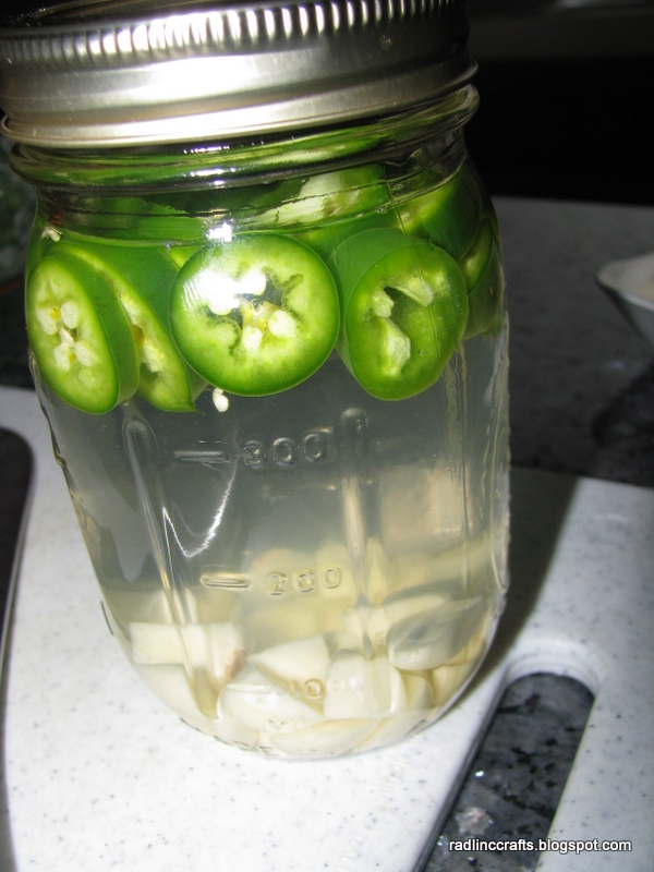 Rad Linc Crafts Spicy Garlicy Vinegar