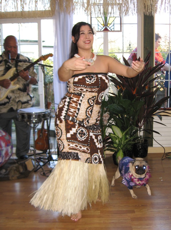 [Hula+dancer+and+Buddha.jpg]
