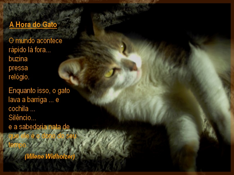 [mina+tapete+c+texto.jpg]