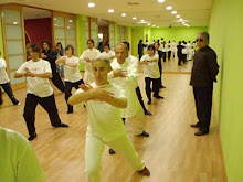 CHINARTE Workshop with Grandmaster Fu