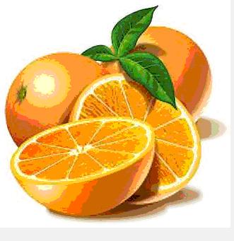 [laranjas+editadas.jpg]