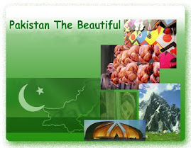 Pakistani food and culture