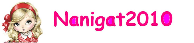 Nanigata2010