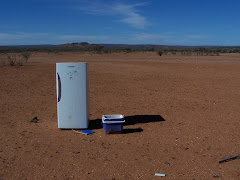 White goods dreaming