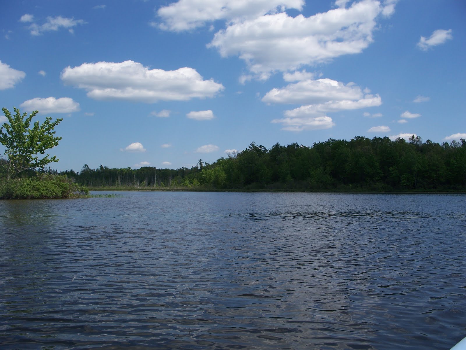 Dren of the Wilderness Benton Lake, Newaygo County, MI