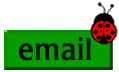 E-mail button