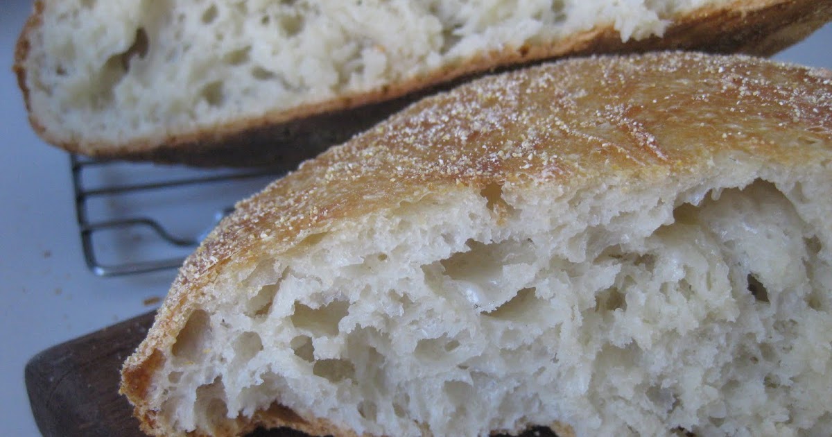 The Blueberry Files No Knead Bread this-recipe-results-in-that-crisp-crackly-crust-and-fluffy-chewy