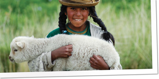 [save+the+children+gifts.jpg]