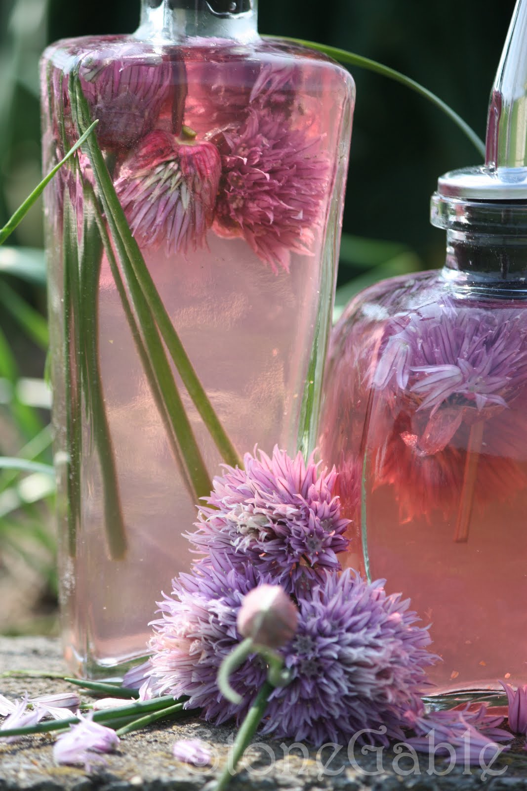 StoneGable Chive Blossom Vinegar Tutorial