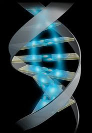 Ricerca scientifica