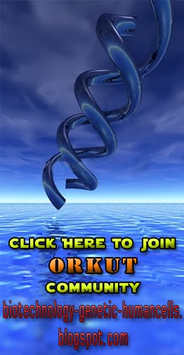 Orkut Community