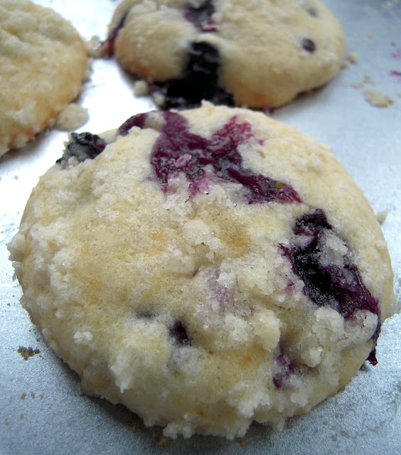 Blueberry Muffin Top Cookies Plain Chicken®