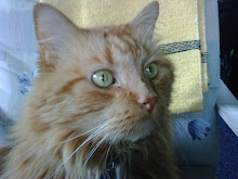 Weston