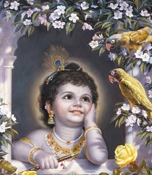 Jai Radhe Jai Krishna Jai Vrindavan: Lord Krishna's mercy on poor fruit seller
