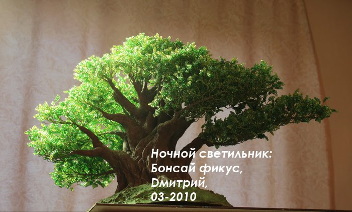 [12_изменение+размера+copy.jpg]