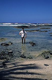 Shoreline at Puako, Hawaii