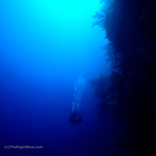 The Right Blue At Peace in the Deep Blue