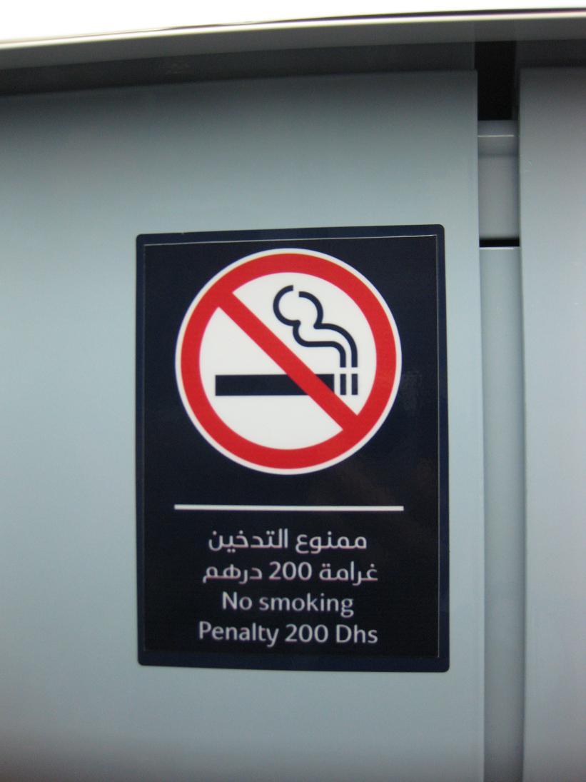 Denny Ramdhani Kardadi: Dubai Metro (The First Monorail in Middle East)