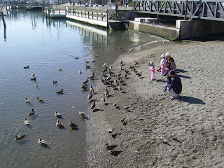 International Naked Traveling: Wellington Harbour, New Zealand