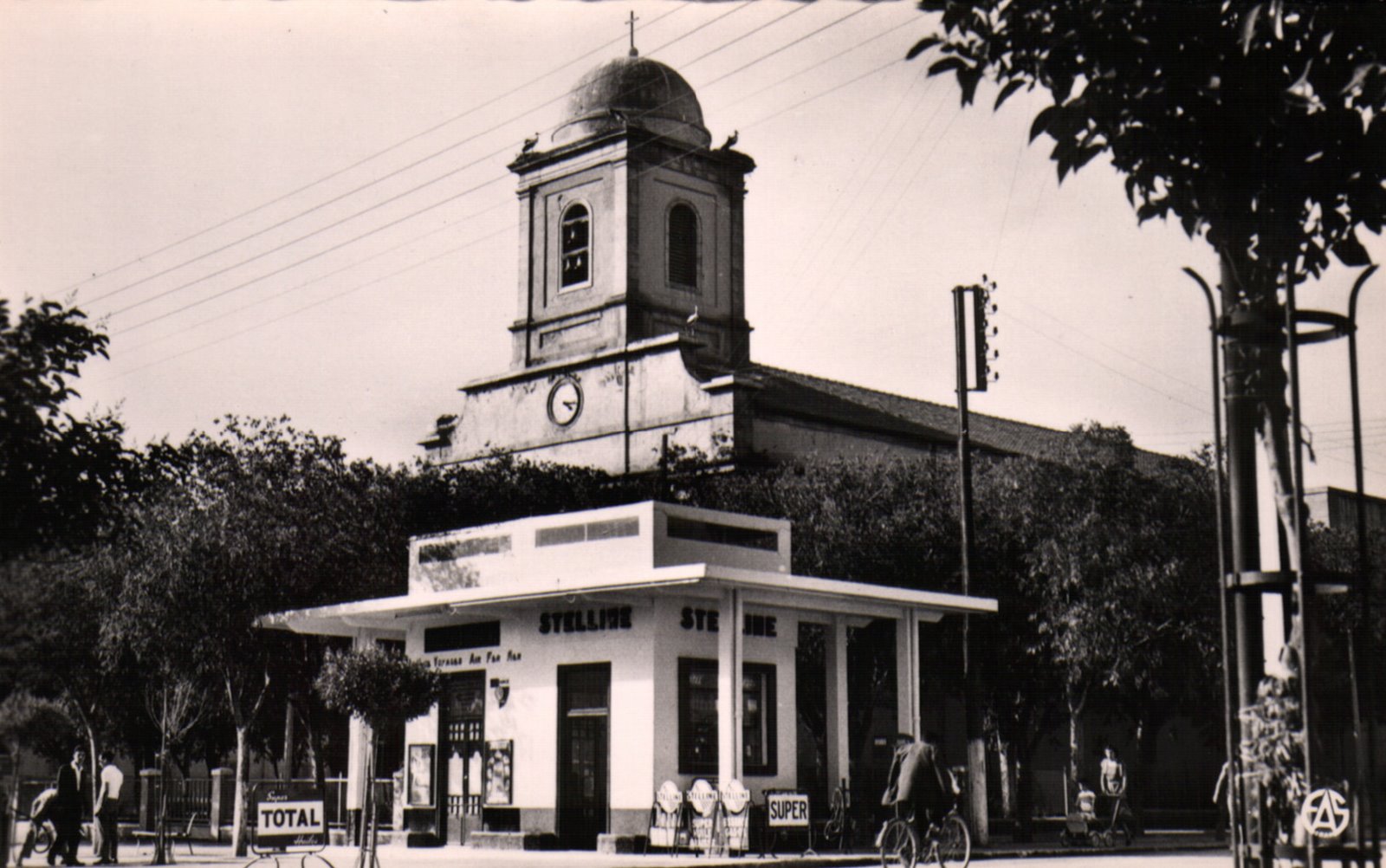 [batna163.jpg]