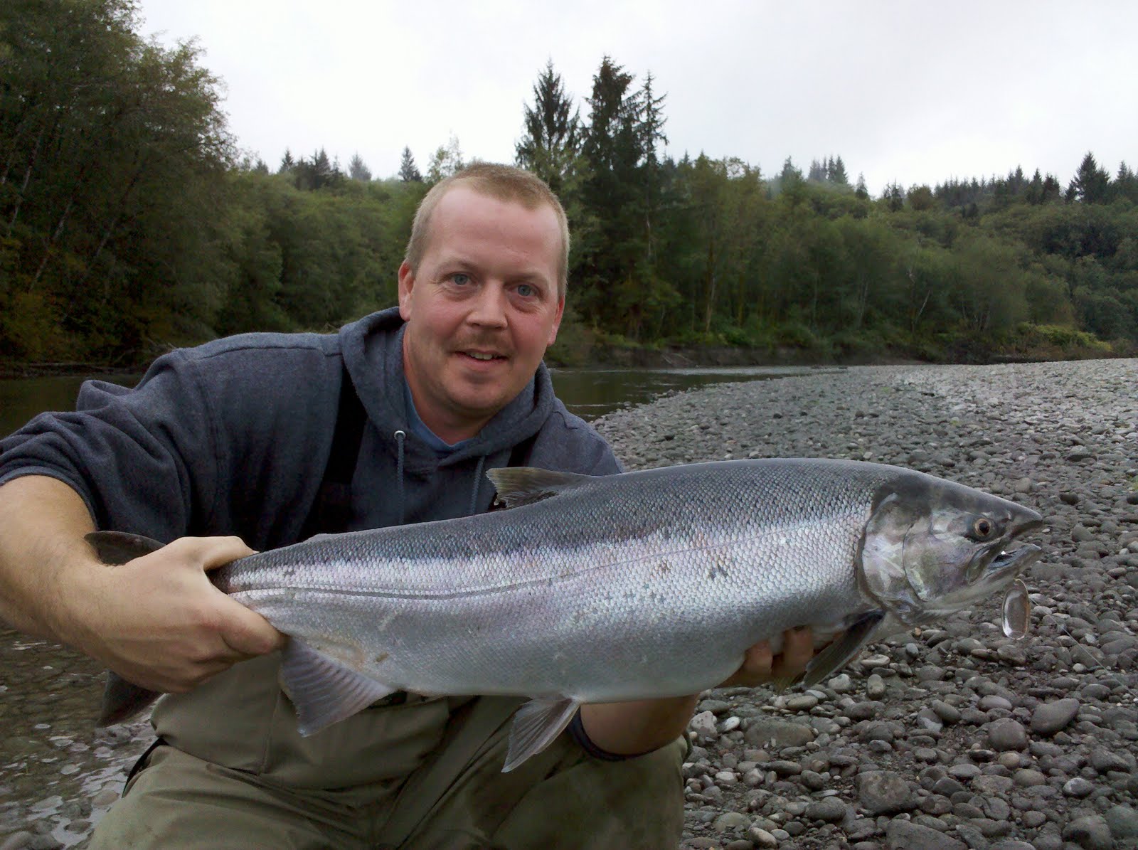 Quinault Fishing Guide 9/19/10. Coho on the move with this rain