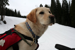 Bridger