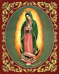 Viva Santa﻿ Maria de Guadalupe!
