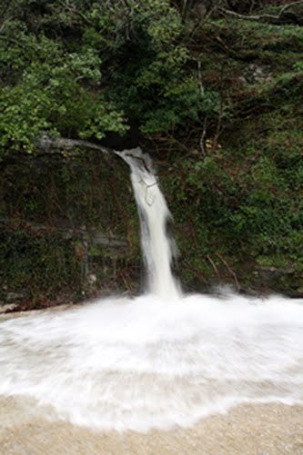 [IMG_8364.JPG]